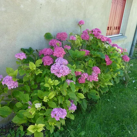 Charmante Maison Renovee Avec Jardin Dans Un Village Paisible - Fr-1-489-37 度假居 Poezat